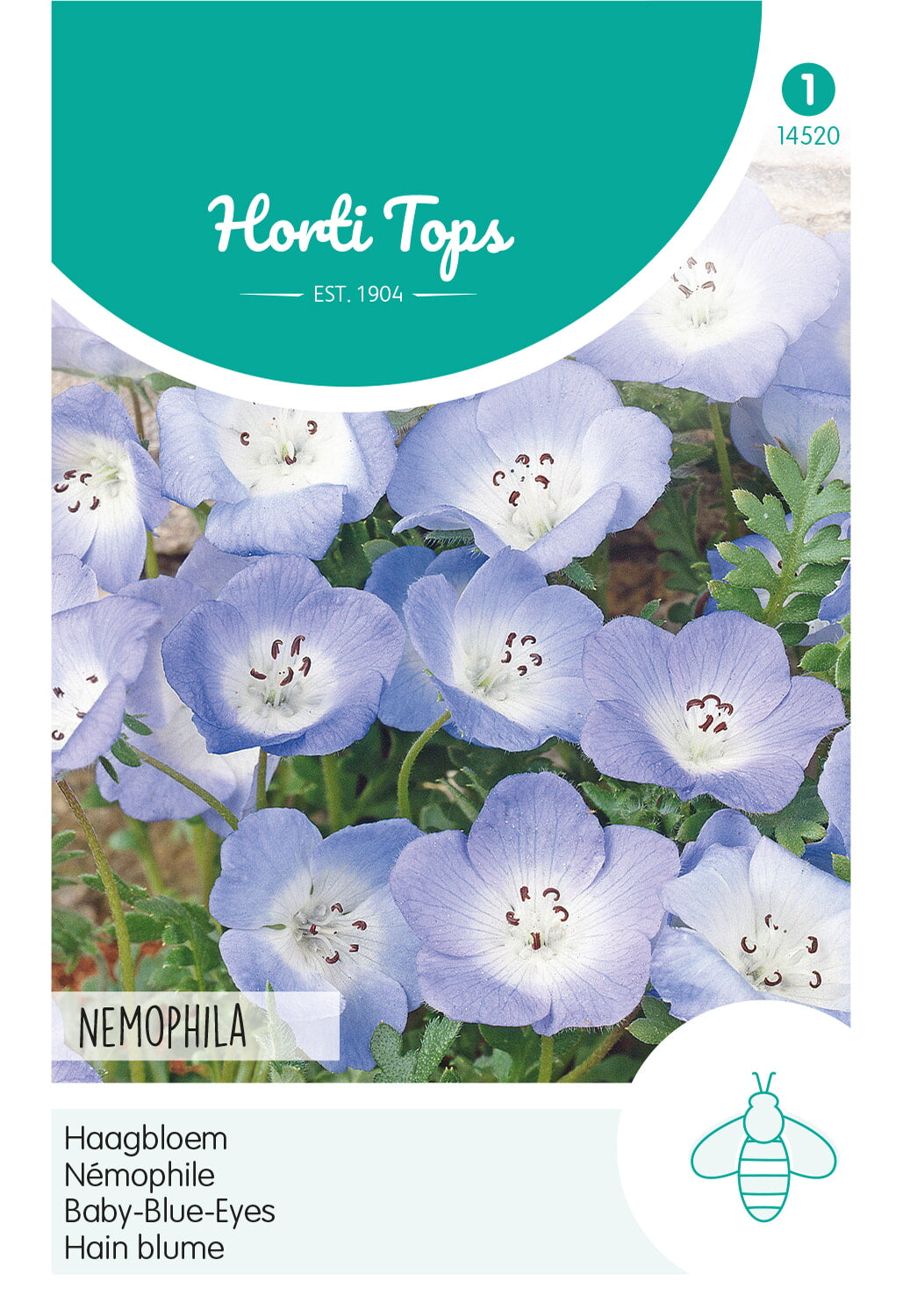 HT Nemophila, Haagbloem Hemelsblauw